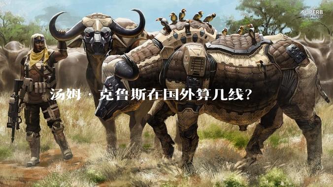 汤姆·克鲁斯在国外算几线？